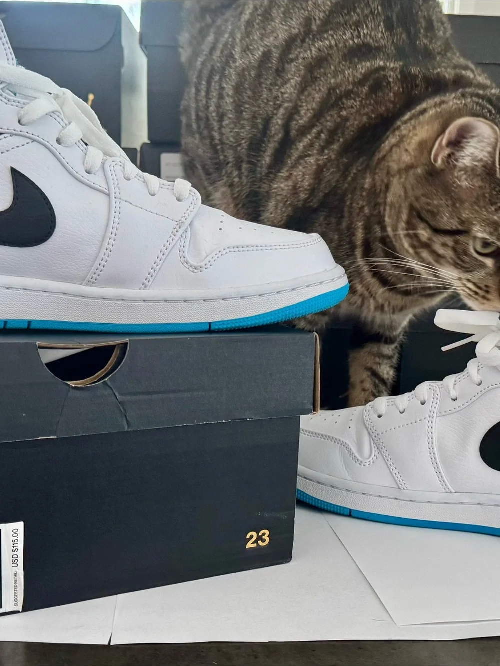 Jordan 1 Mid - Laser Blue